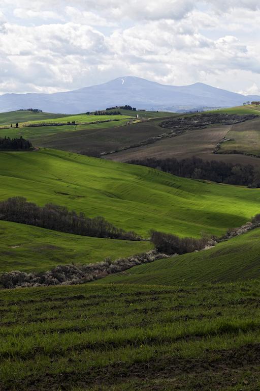 Fra Paolino B&B - Locanda Di Montisi Esterno foto